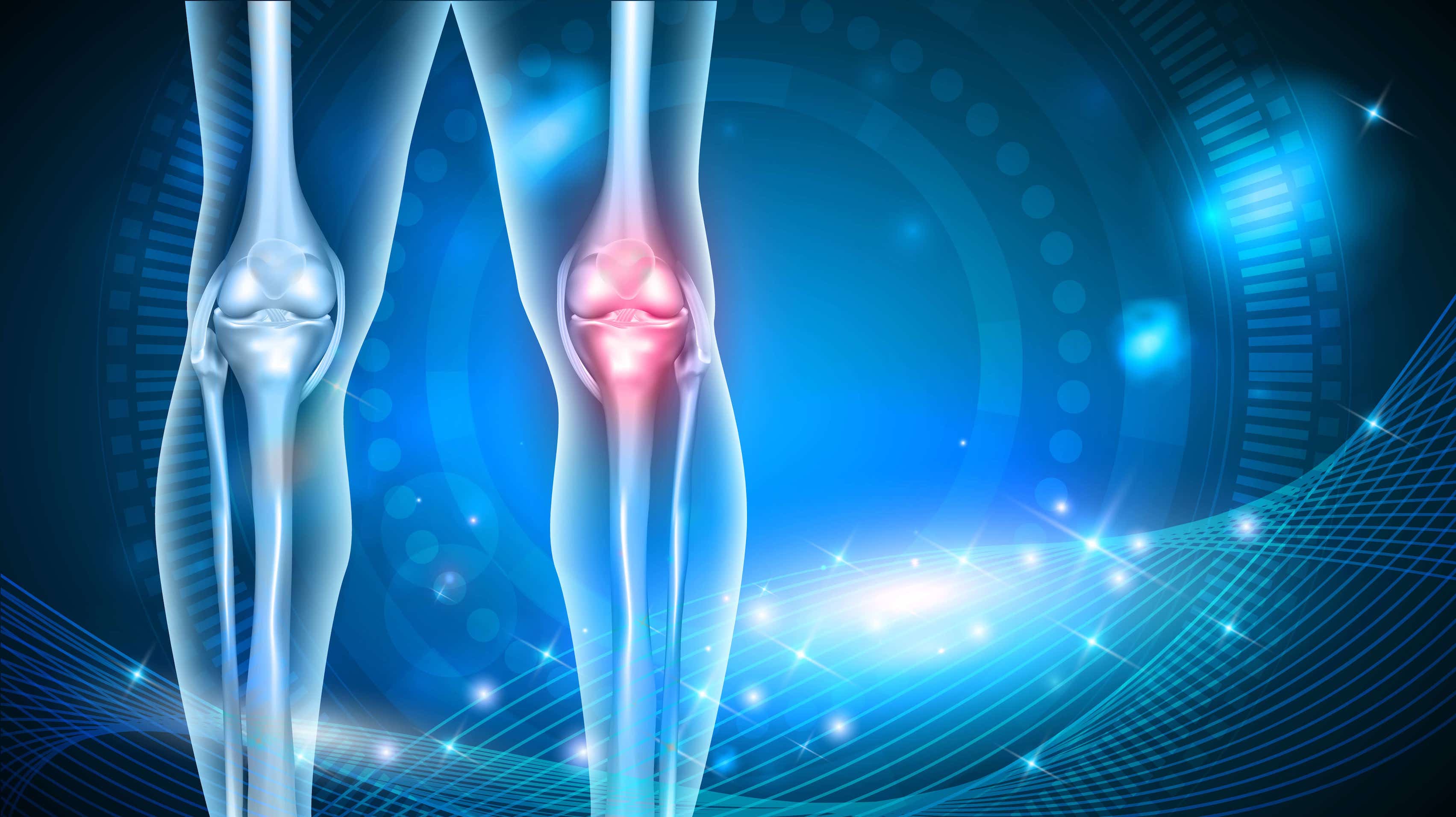 Osteoarthritis, Pain and Research