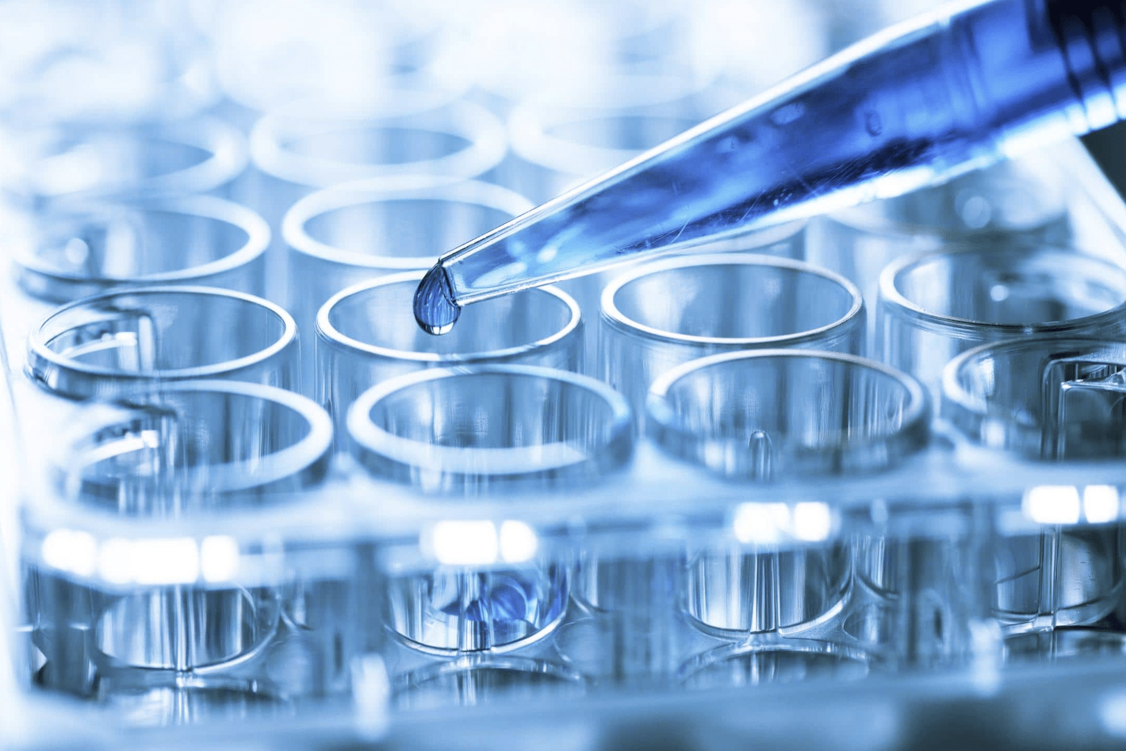 Screen-Shot-2020-03-11-at-16.58.47